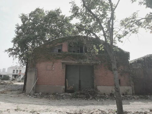 龍湖精品 車橋廠全新改造設計,街區花園的模式,使得建筑更具有活力 騰訊新聞