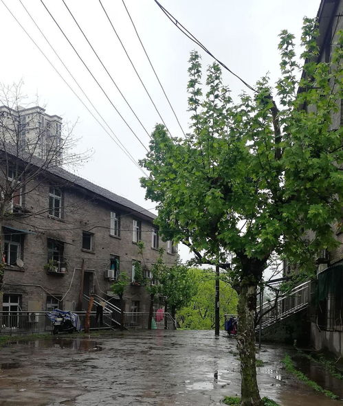 重慶著名的三線廠,昔日風光產品供不應求,如今沒落廠房被拆除