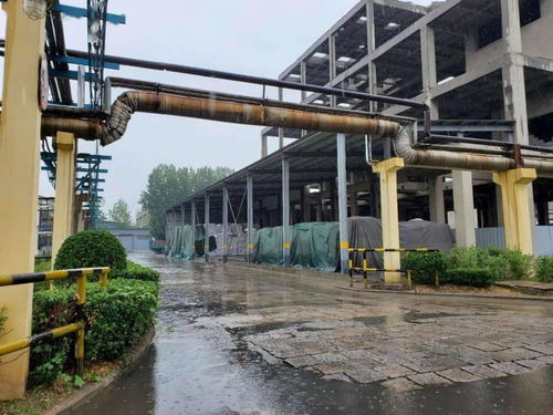 疫情下甲醇后市走勢如何