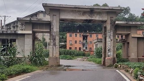 湖北 老牌 軍工廠,曾生產(chǎn)光電產(chǎn)品,如今廠區(qū)荒蕪凄涼