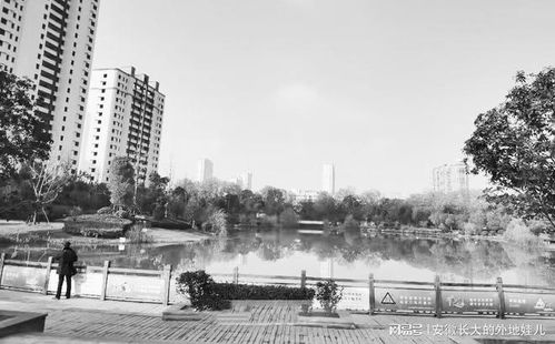 阜陽(yáng)柴油機(jī)廠上世紀(jì)80年代產(chǎn)品出口,利稅千萬(wàn)元,如今只剩下地名