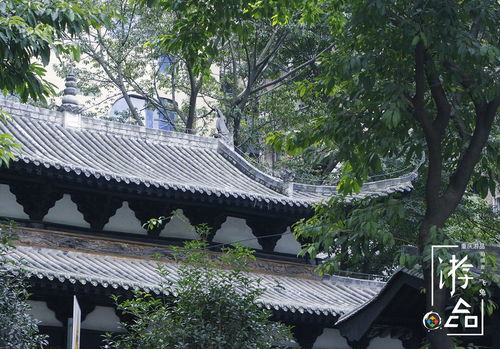 百年前的建筑成為城市磨難的見(jiàn)證者,這座道觀究竟有何秘密