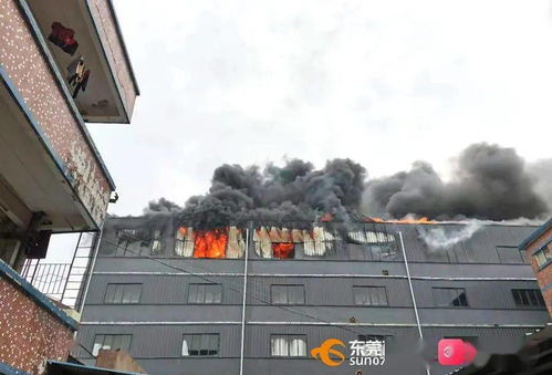 突發 東莞一包裝制品廠發生火災,濃煙沖天