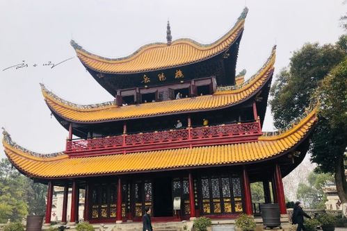 湖南有座存在感不高的城市,岳陽不是只有范仲淹筆下的岳陽樓