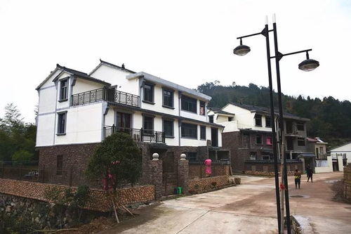 2018年最后一批 十美村 名單公布,這次20個