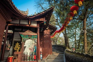 四川四大道觀之一的金華山,有神秘女道姑和能治眼霾的古銀