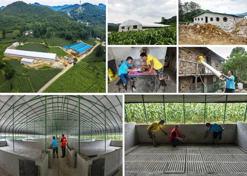 我的扶貧故事 清鎮市劉姨媽風味食品廠 為脫貧攻堅盡份力