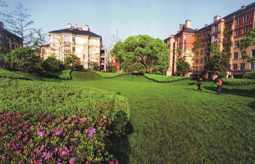 幸會上蔡,25年只做高端盤的綠城來了