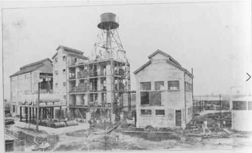 八十年蛻變 普陀這的前身,原來(lái)是滬西地區(qū) 老資格