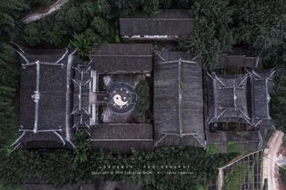 重慶又添新耍事 免費賞十里紅梅 打卡夢幻夜景,還有超多好玩的...