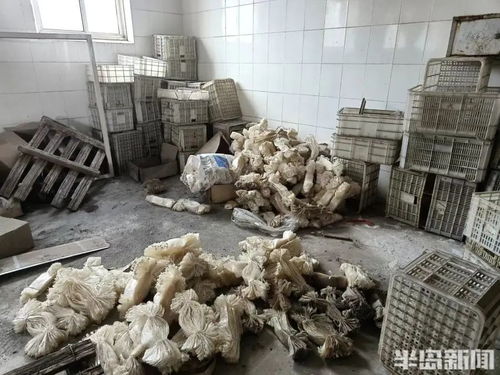 曾在青島家喻戶曉 知名品牌歇業 職工緊急求助 不應再 沉默