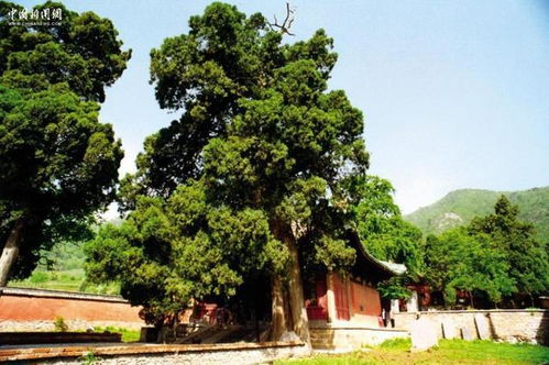 登封 何以為中 以和為 中