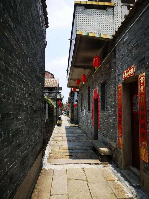 有福了 30條廣州美麗鄉村游黃金線路已安排