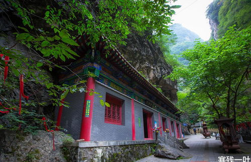 世界面積最大的植物園,有一片保存完好的原始森林,就在西安市郊