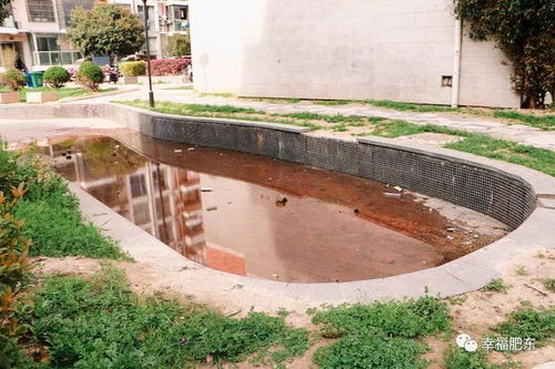 姚飛暗訪督查文明創(chuàng)建工作