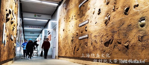 解讀千年炒飯文化,浙江海通食品集團炒飯觀光工廠