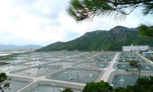 全省率先 臨海實現鎮街養殖水產品檢測全覆蓋