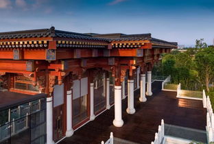 失落的院子 成都人千年鄰里文明將在這里被傳承