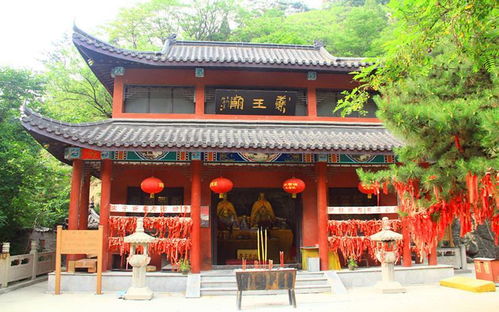 藥王廟和道觀藥王殿中奉祀的藥王