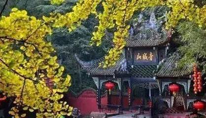 道觀中最常見的植物是什么? | | 上海城隍廟