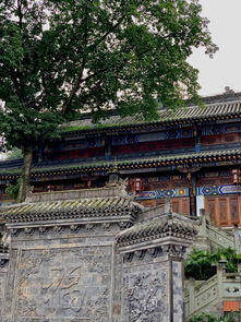 重慶本地人才去耍的地方是哪些 我一個重慶土著告訴你