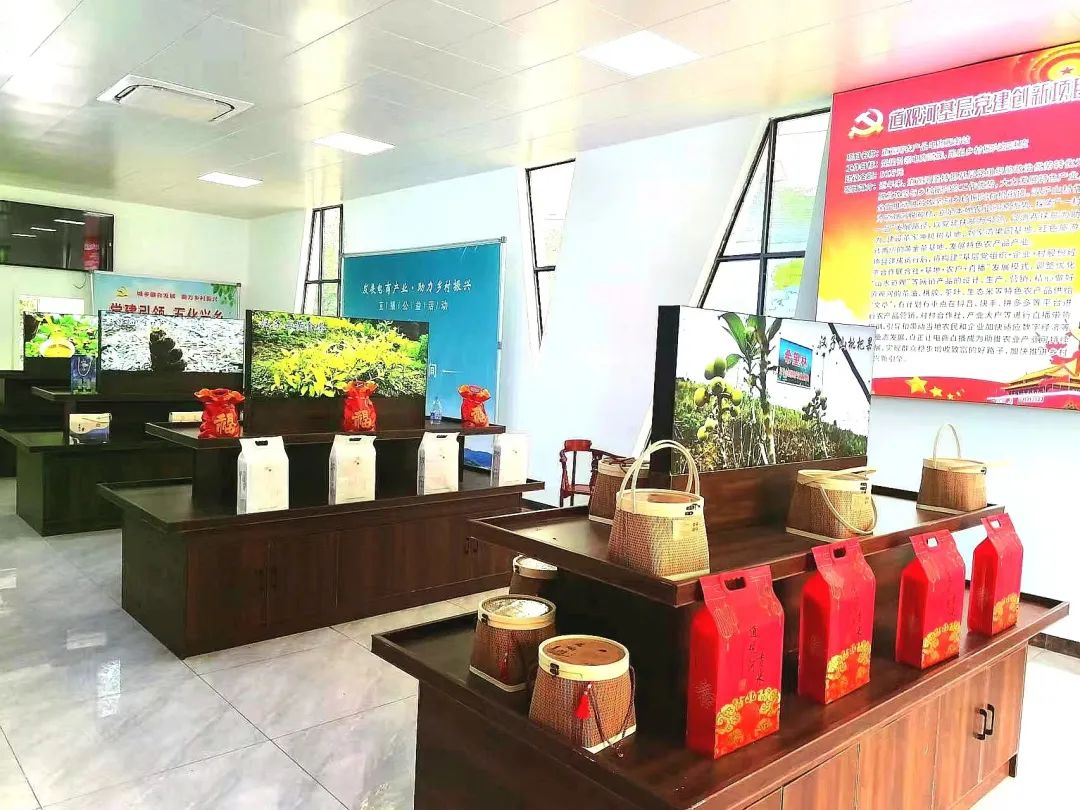 雙向奔赴共譜鄉(xiāng)村振興的美麗畫(huà)卷