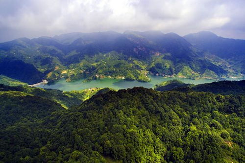 一縣一品公益助農 粵東第一道觀紫金觀,廣東紫金農特產品春甜桔