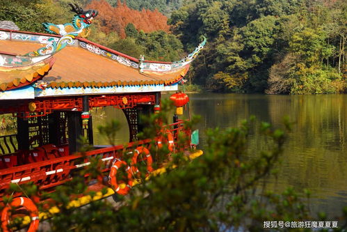 四大道教名山之青城山,前山問道后山度假,道觀和民宿多不勝數