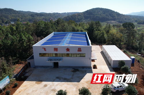 東安縣 五個聚力促發展