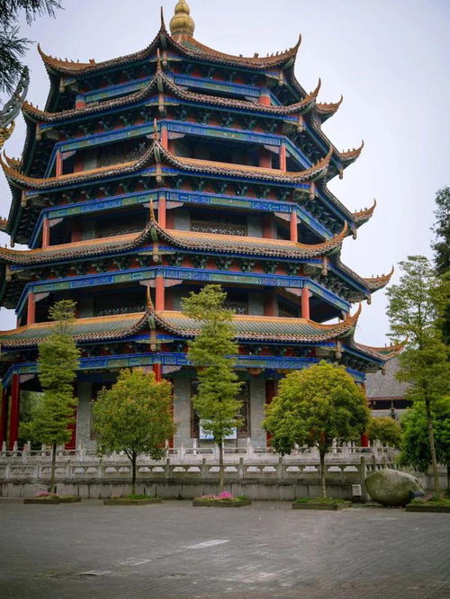 成都小眾清幽竹林徒步,野趣十足