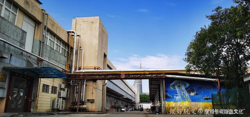 解讀千年炒飯文化，探訪浙江海通食品集團炒飯觀光工廠