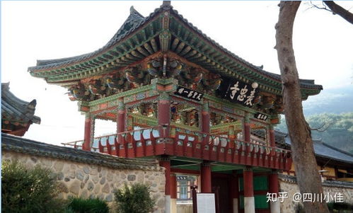 2020成都超詳細旅游攻略 探秘道觀文化與地道美食