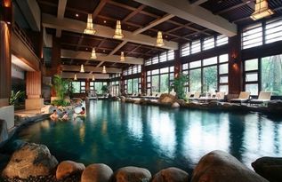 游山玩水問(wèn)道觀熊貓 都江堰邁向國(guó)際旅游名城